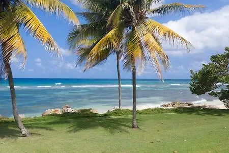 Hospitality Expert Zeppelin - Tour Pool Bar Beach Montego Bay 0*,  Jamaika