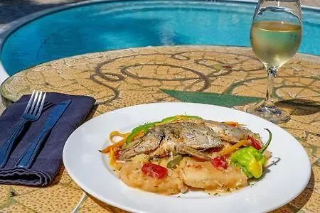 Gasthof Hospitality Expert Zeppelin - Tour Pool Bar Beach Montego Bay