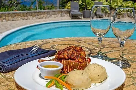 Hospitality Expert Zeppelin - Tour Pool Bar Beach Montego Bay Jamaika